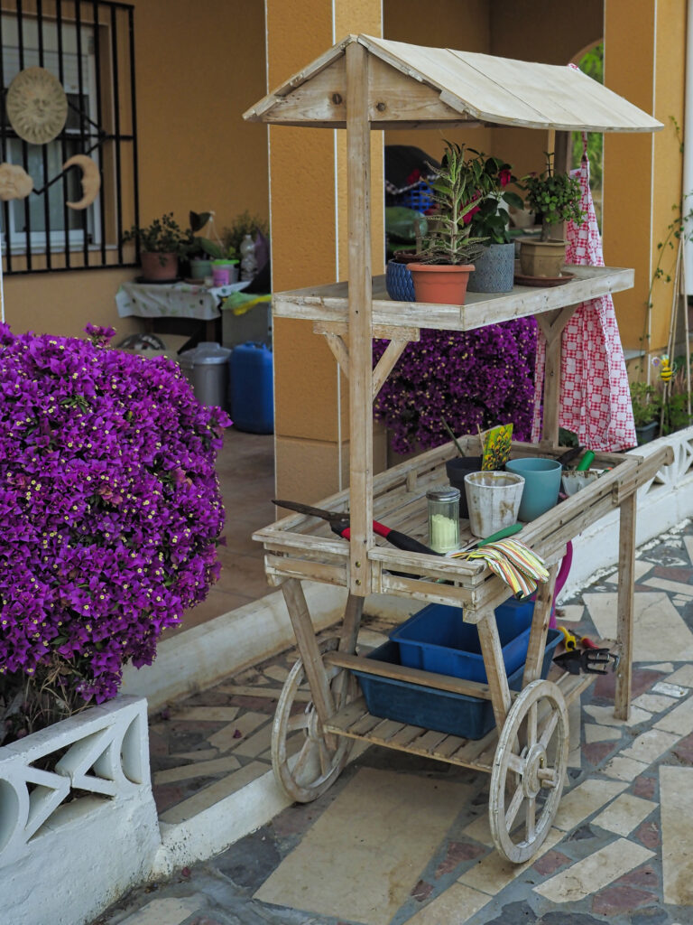 Mi rincón botánico