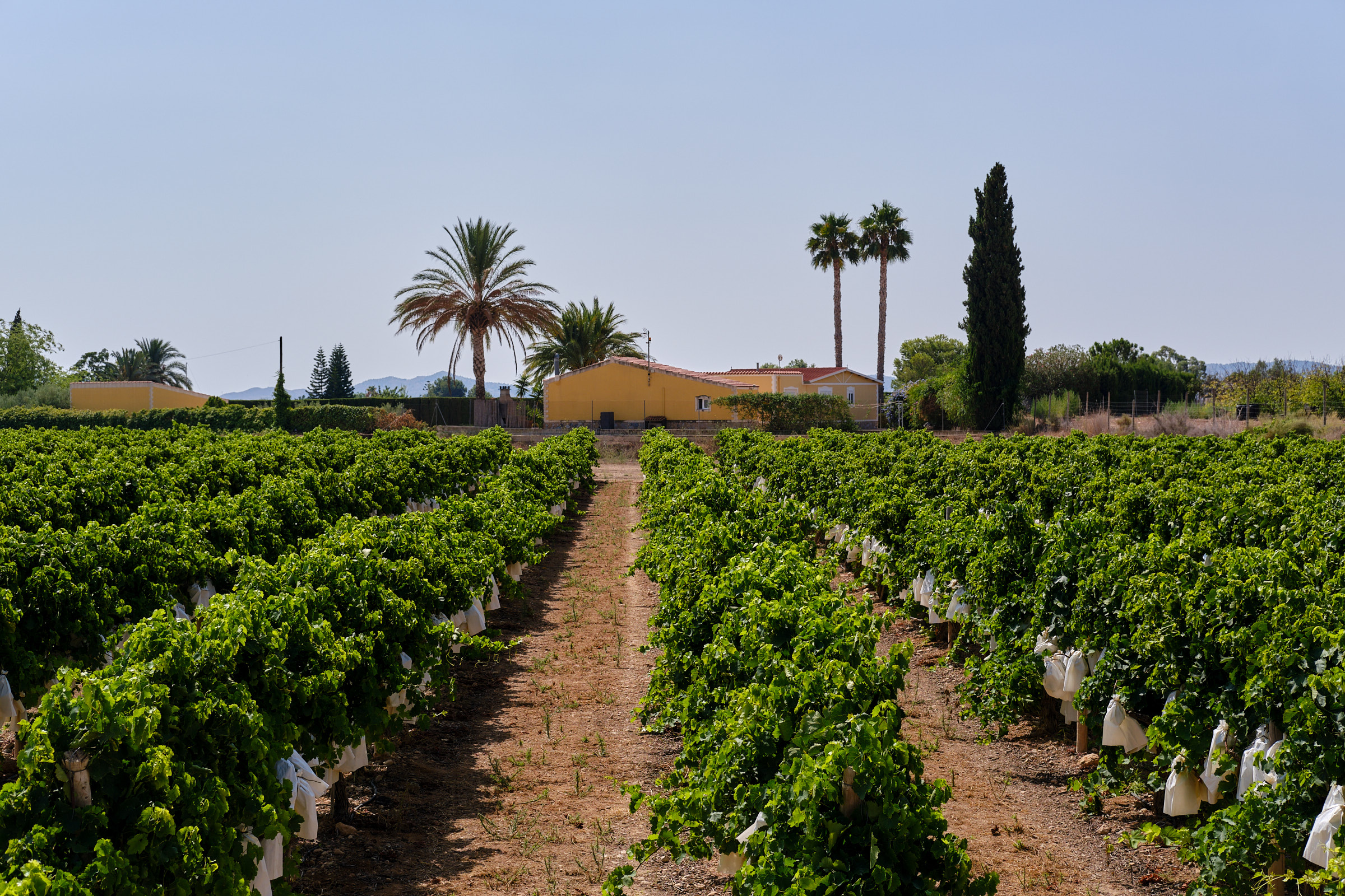 L'Alforna III