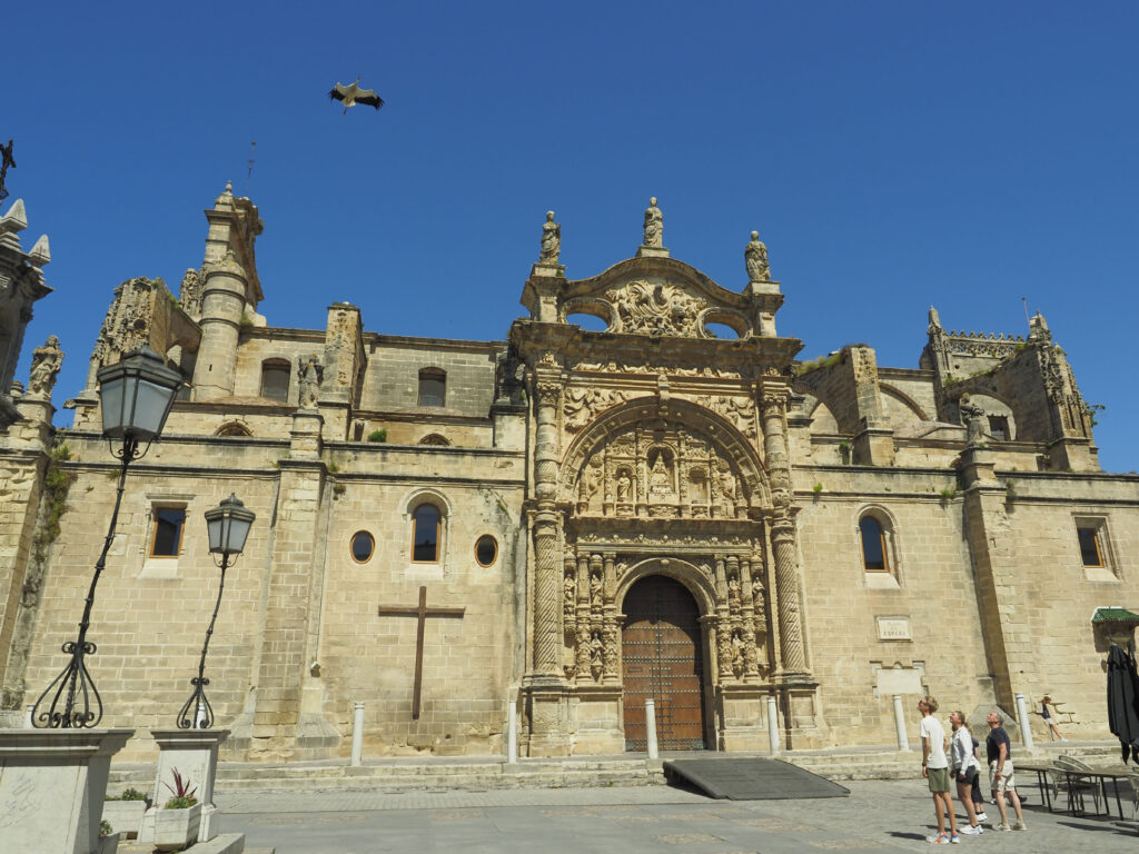 Cigüeña y turistas