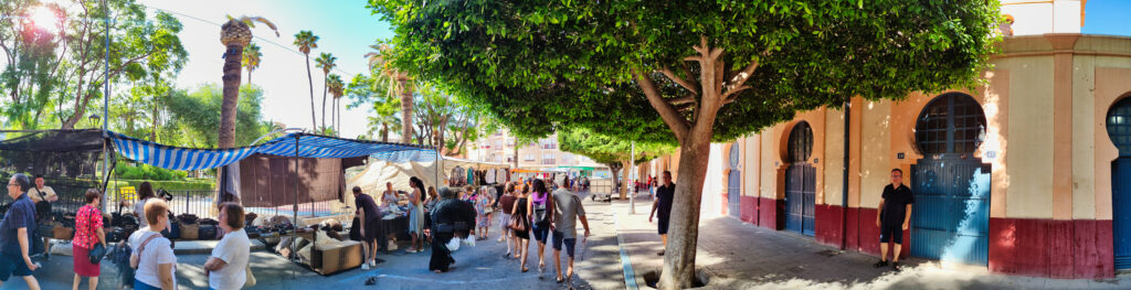 Jugant - Carmen Antón