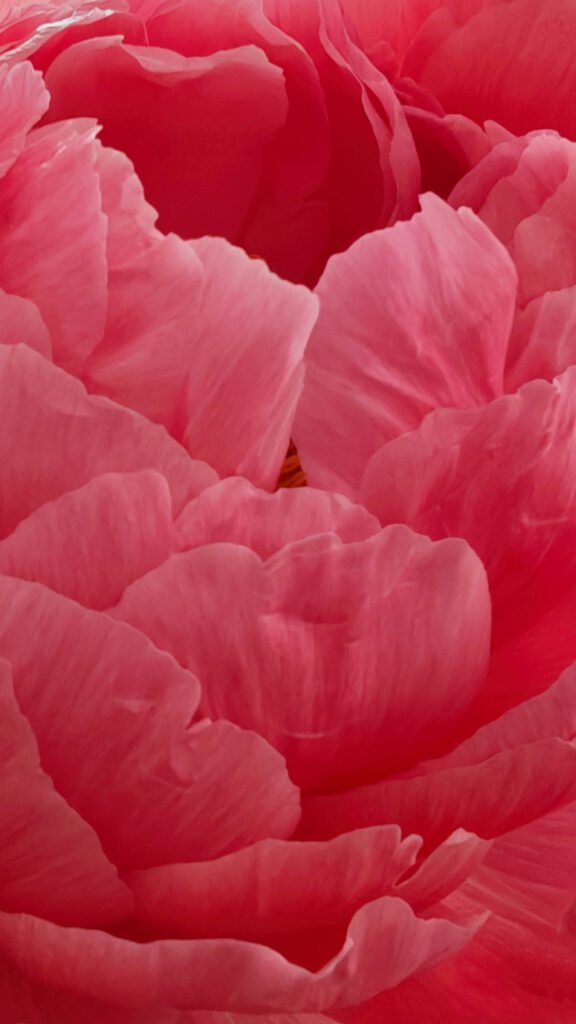 Rouge 2 - Carmen Antón