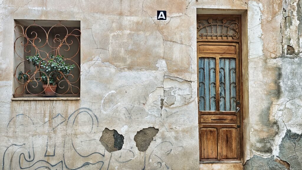 Novelda 2 - Carmen Antón